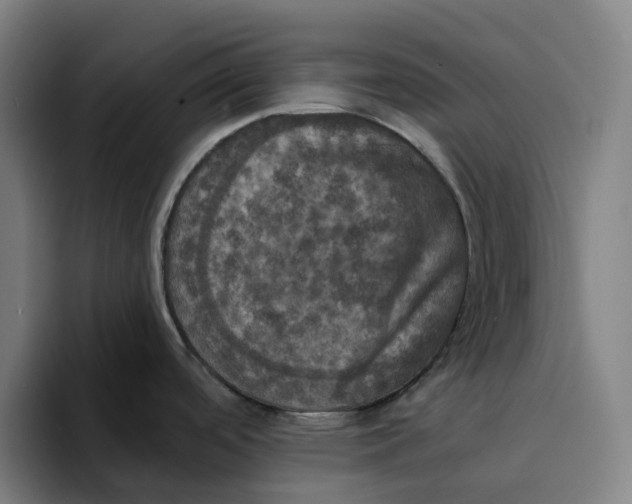 X0000094211488200711161819
