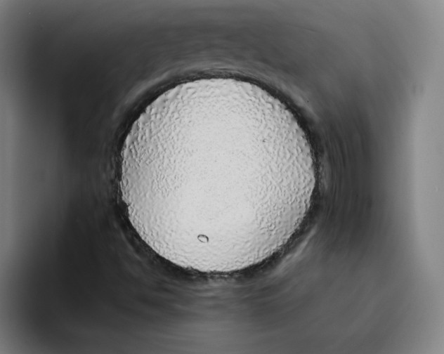 X0000094211494200711161818