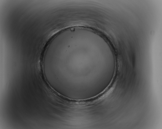 X0000094211497200711161818