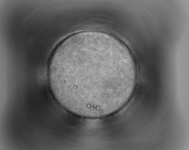 X0000094211498200711161818