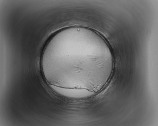 X0000094211499200711161818