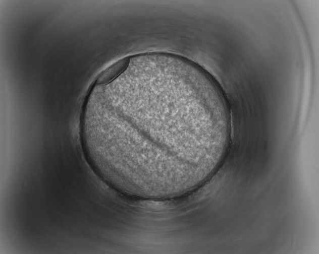 X0000094211500200711161818