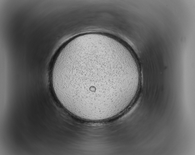 X0000094211501200711161818