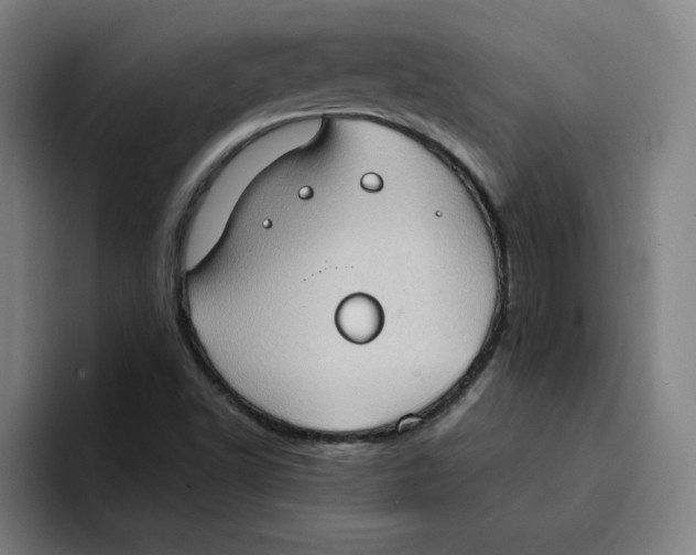 X0000094211502200711161818