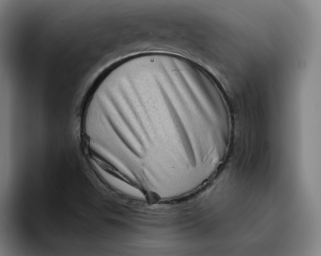 X0000094211503200711161818