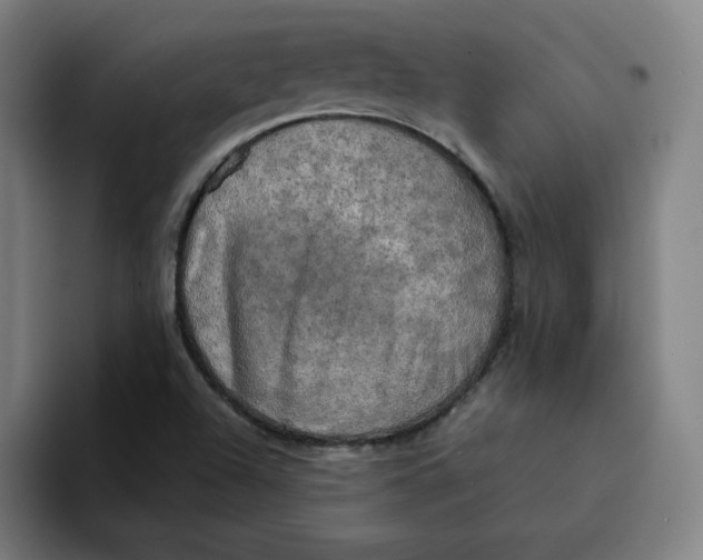 X0000094211504200711161818