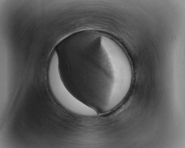 X0000094211505200711161818