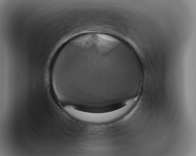 X0000094211506200711161818