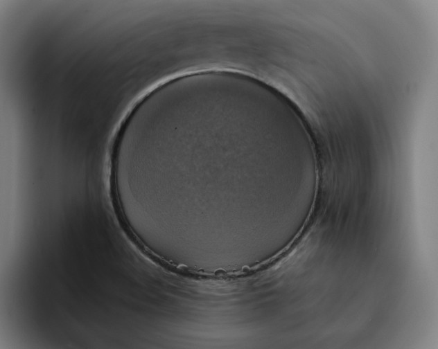 X0000094211508200711161818