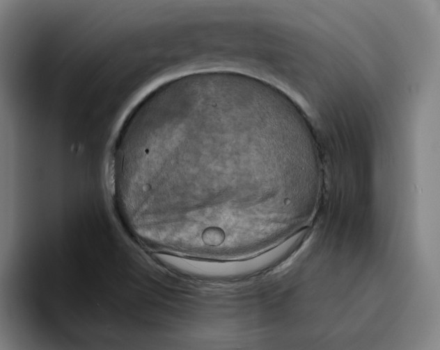 X0000094211510200711161818