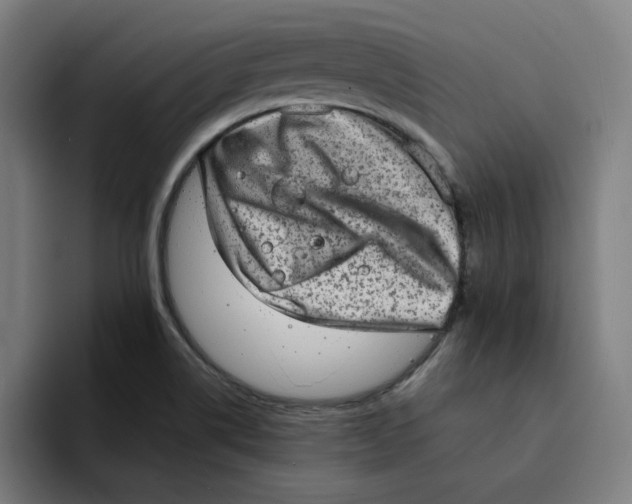X0000094211514200711161818