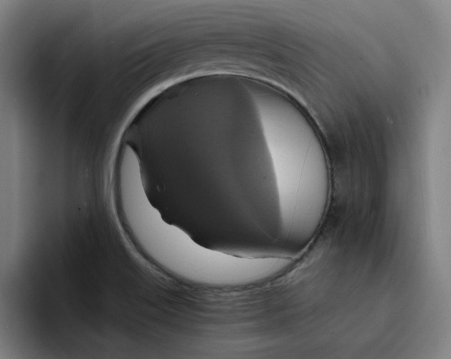 X0000094211515200711161818