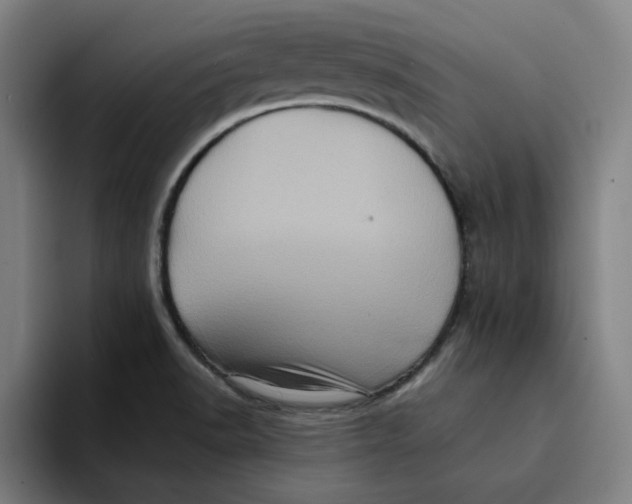 X0000094211518200711161818
