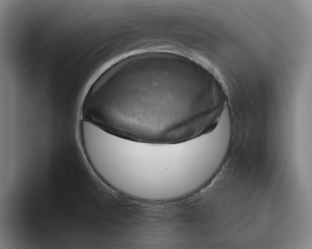 X0000094211520200711161818