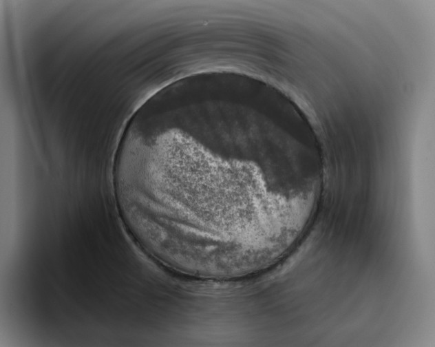 X0000094211521200711161818
