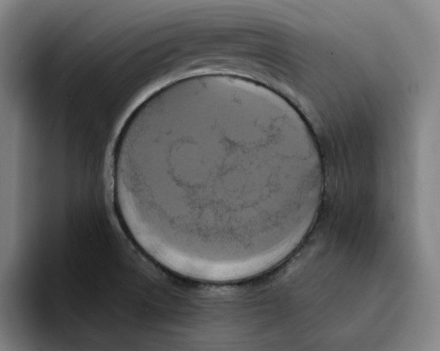 X0000094211522200711161818