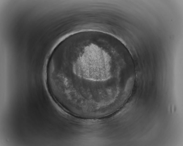 X0000094211523200711161818
