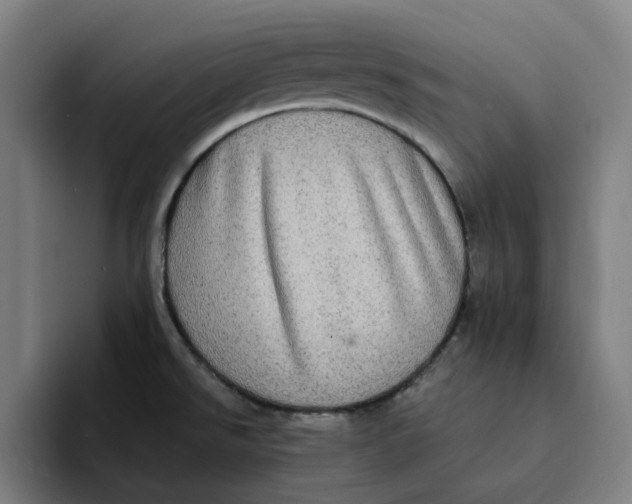 X0000094211526200711161818