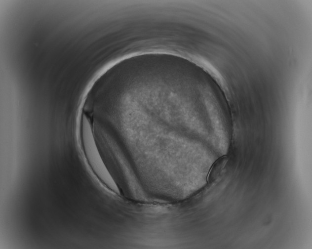 X0000094211528200711161818