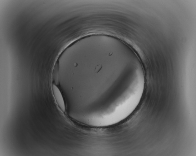 X0000094211529200711161818