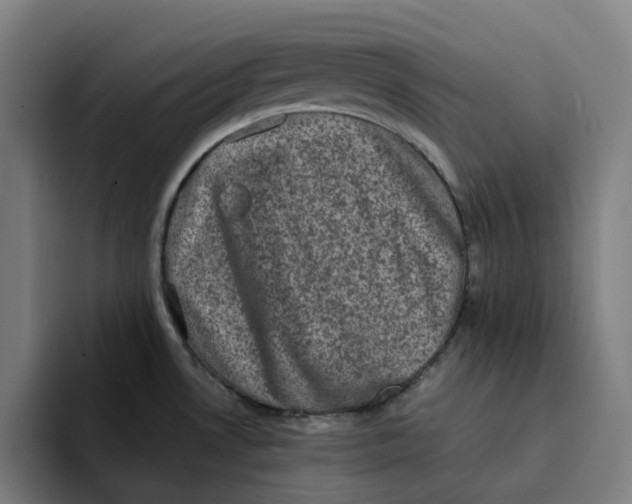 X0000094211530200711161818