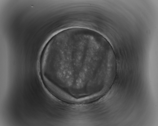 X0000094211531200711161818