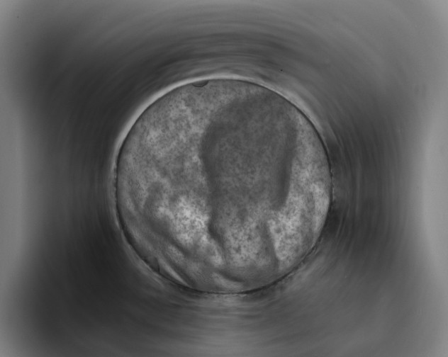 X0000094211532200711161818