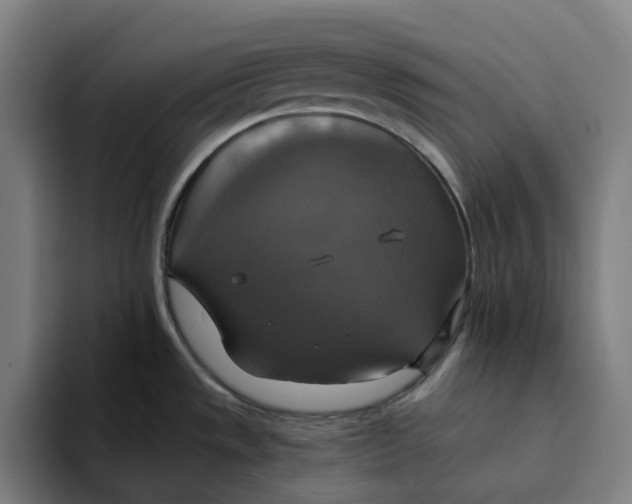 X0000094211533200711161818