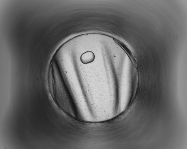 X0000094211534200711161818