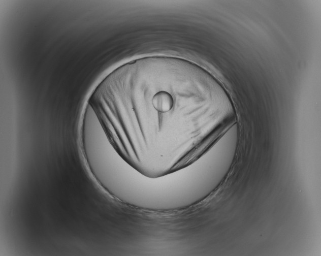X0000094211536200711161818
