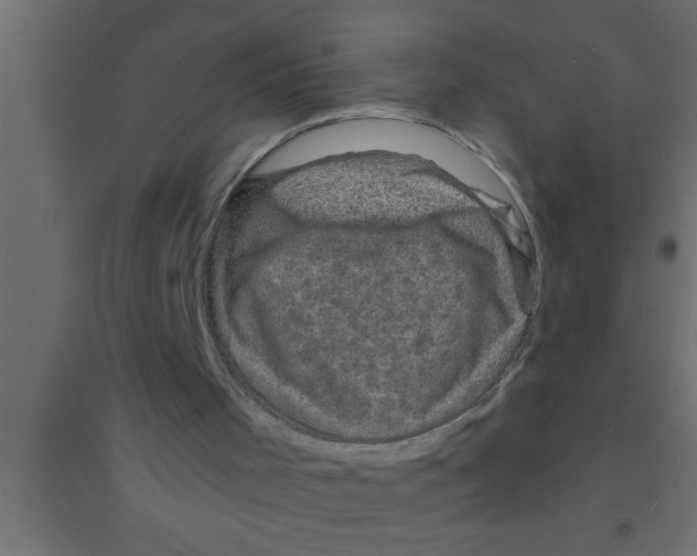 X0000094210001200711241710