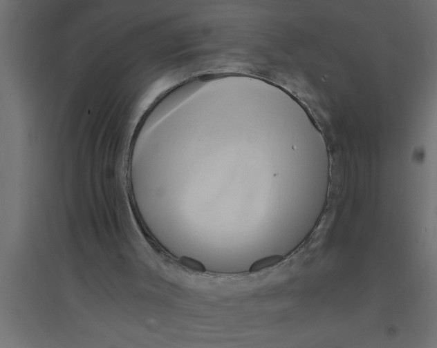 X0000094210003200711241710