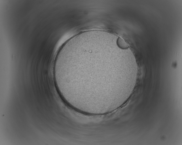 X0000094210004200711241710