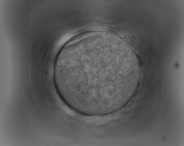 X0000094210005200711241710