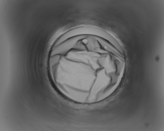 X0000094210007200711241710