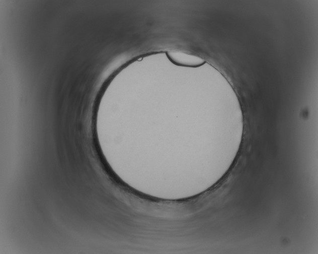 X0000094210008200711241710