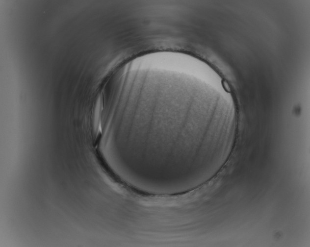 X0000094210009200711241710