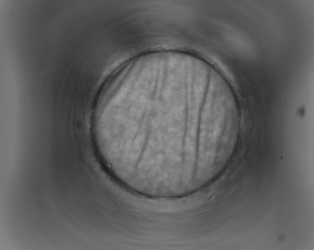 X0000094210010200711241710