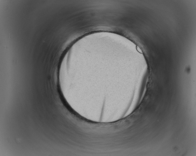 X0000094210011200711241710