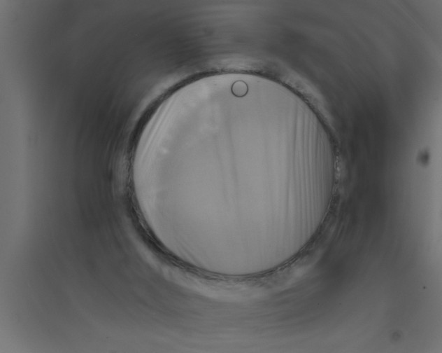 X0000094210012200711241710