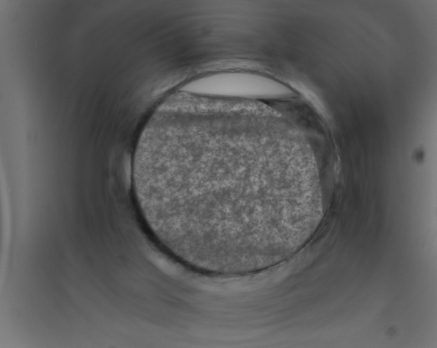 X0000094210013200711241710