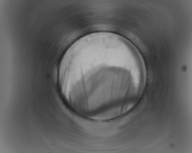 X0000094210014200711241709