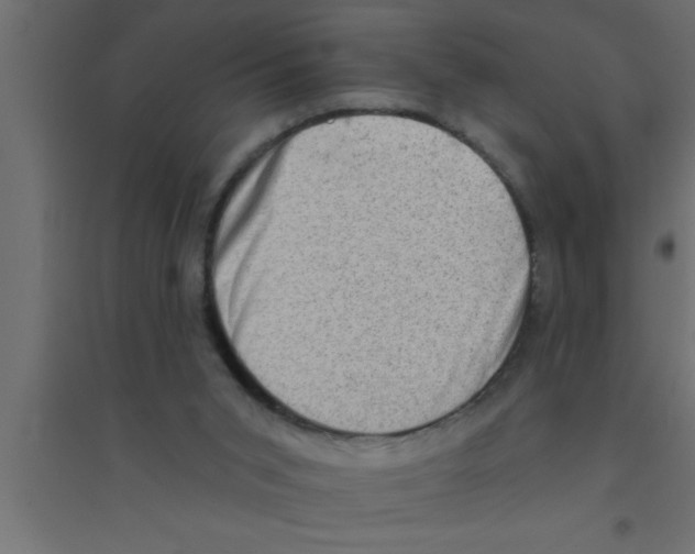 X0000094210015200711241709