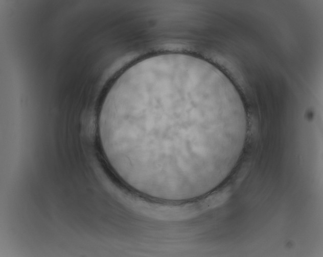 X0000094210016200711241709