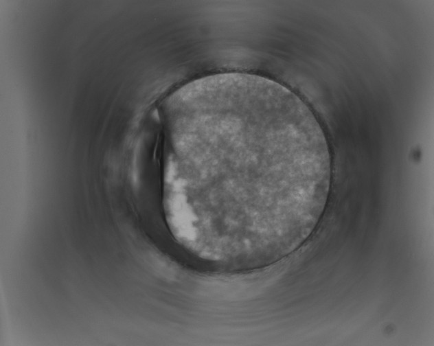 X0000094210017200711241709