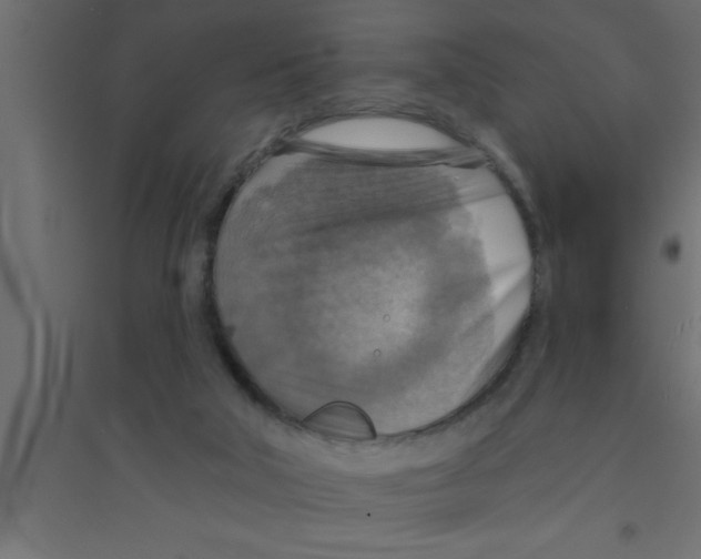 X0000094210018200711241709