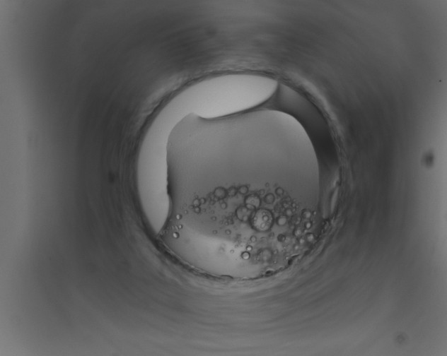 X0000094210019200711241709