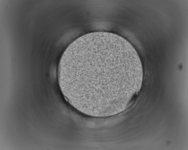 X0000094210021200711241709