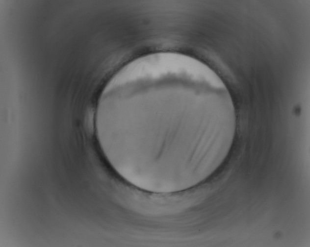 X0000094210022200711241709