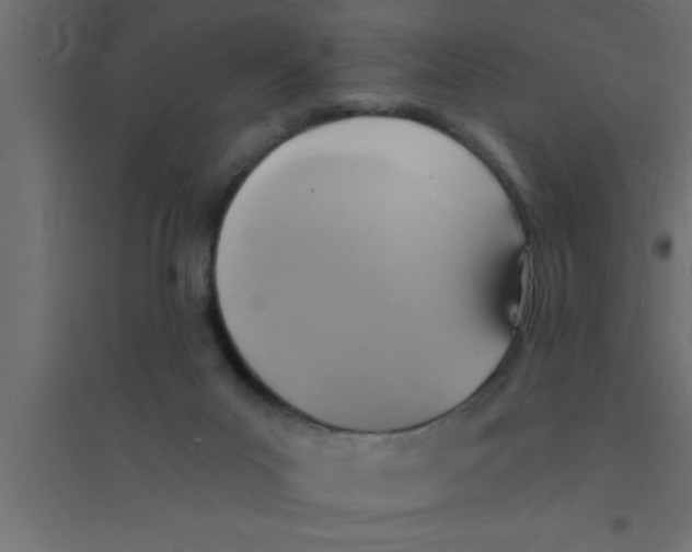 X0000094210023200711241709